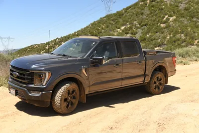 DSC_5894 (Large).JPG